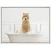 image:imageKate and Laurel Sylvie Alpaca In Bubble Bath Neutral Style Framed Canvas Wall Art by Amy Peterson Art Studio 18x24 White Minamlist Animal Art for Bathroom LaundryWhite
