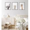 image:imageKate and Laurel Sylvie Animal Studio Baby White Tiger Framed Canvas Wall Art by Amy Peterson Art Studio 18x24 Natural Modern Jungle Animal Portrait Art for WallGray