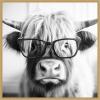 image:imageKate and Laurel Sylvie Black and White Highland Cow in Reading Glasses Framed Canvas Wall Art by The Creative Bunch Studio 30 x 30 Beaded Natural Black and White Animal Wall Decor Living RoomBright Gold
