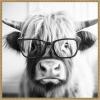 image:imageKate and Laurel Sylvie Black and White Highland Cow in Reading Glasses Framed Canvas Wall Art by The Creative Bunch Studio 30 x 30 Beaded Natural Black and White Animal Wall Decor Living RoomBeaded Natural