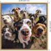 image:imageKate and Laurel Sylvie Funny Animal Dog Selfie Framed Canvas Wall Art by The Creative Bunch Studio 22x22 Black Funny Cute Animal Art for WallNatural