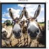 image:imageKate and Laurel Sylvie Funny Animal Donkey Selfie Framed Canvas Wall Art by The Creative Bunch Studio 22x22 Natural Funny Cute Animal Art for WallBlack
