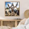 image:imageKate and Laurel Sylvie Funny Animal Donkey Selfie Framed Canvas Wall Art by The Creative Bunch Studio 22x22 Natural Funny Cute Animal Art for WallNatural