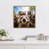 image:imageKate and Laurel Sylvie Funny Animal Raccoon Selfie Framed Canvas Wall Art by The Creative Bunch Studio 22x22 Black Funny Cute Animal Art for WallNatural