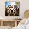 image:imageKate and Laurel Sylvie Funny Animal Raccoon Selfie Framed Canvas Wall Art by The Creative Bunch Studio 22x22 Black Funny Cute Animal Art for WallNatural