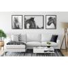 image:imageKate and Laurel Sylvie Noble Framed Canvas Wall Art by Alicia Abla 23x33 Black Modern Horse Art  Black and White PhotographyBrown