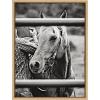 image:imageKate and Laurel Sylvie Photo Saddling Horse Framed Canvas Wall Art by The Whiskey Ginger 18x24 Natural Western Photography Art for Wall