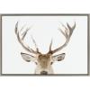 image:imageKate and Laurel Sylvie Stag Peekaboo Framed Canvas Wall Art by Amy Peterson Art Studio 23x33 Natural Snowy Deer Portrait Art for WallGray