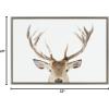 image:imageKate and Laurel Sylvie Stag Peekaboo Framed Canvas Wall Art by Amy Peterson Art Studio 23x33 Natural Snowy Deer Portrait Art for WallGray