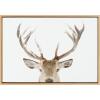 image:imageKate and Laurel Sylvie Stag Peekaboo Framed Canvas Wall Art by Amy Peterson Art Studio 23x33 Natural Snowy Deer Portrait Art for WallNatural