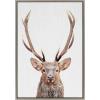 image:imageKate and Laurel Sylvie The Red Deer Color Framed Canvas Wall Art by Simon Te of Tai Prints 18x24 Natural Rustic Forest Animal Deer Portrait ArtGray