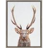 image:imageKate and Laurel Sylvie The Red Deer Color Framed Canvas Wall Art by Simon Te of Tai Prints 18x24 Natural Rustic Forest Animal Deer Portrait ArtGray