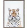 image:imageKate and Laurel Sylvie Tiger Portrait Framed Canvas Wall Art by Amy Peterson Art Studio 18x24 Natural Modern Jungle Animal Portrait Art for WallGray