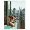image:imageKate and Laurel Urban Tiger Overlooking Manhattan Framed Canvas Wall Art by Michael Schauer 18 x 24 Sylvie White Industrial Urban Animals Cityscapes Art for Wall Decor Living Room BedroomWhite