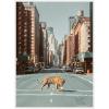 image:imageKate and Laurel Urban Tiger in the City Framed Canvas Wall Art by Michael Schauer 18 x 24 Sylvie White Industrial Urban Cityscapes Animals Art for Wall Decor Living Room BedroomWhite