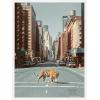image:imageKate and Laurel Urban Tiger in the City Framed Canvas Wall Art by Michael Schauer 18 x 24 Sylvie White Industrial Urban Cityscapes Animals Art for Wall Decor Living Room BedroomWhite