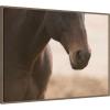 image:imageKate and Laurel Framed Canvas Wall Art Print Dusty by Crystal Lynn Collins 38 x 28 Sylvie Walnut Frame Rustic Farmhouse Animal Art for Wall DecorSylvie Walnut