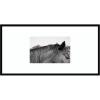 image:imageKate and Laurel Framed Wall Art Print Auburn by Alicia Bock 41 x 21 Svelte Noir Black Frame Modern Contemporary Animal Art for Wall DecorSvelte Noir Black