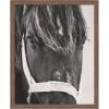 image:imageKate and Laurel Framed Wall Art Print Black Horse by Emiko and Mark Franzen F2 Images 33 x 41 Svelte Noir Black Frame Rustic Farmhouse Animal Art for Wall DecorWoodgrain Stripe Chocolate