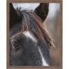 image:imageKate and Laurel Framed Wall Art Print Black and White Horse by Emiko and Mark Franzen F2 Images 33 x 41 Svelte Noir Black Frame Rustic Farmhouse Animal Art for Wall DecorWoodgrain Stripe Chocolate