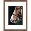 image:imageKate and Laurel Framed Wall Art Print Chestnut Horse by Mary Sparrow 27 x 35 Pia Medium Brown Narrow Frame Rustic Farmhouse Animal Art for Wall DecorPia Medium Brown Narrow