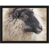 image:imageKate and Laurel Framed Wall Art Print Edward Crop by Emiko and Mark Franzen F2 Images 42 x 32 Woodgrain Stripe Mocha Frame Rustic Farmhouse Animal Art for Wall DecorManhattan Black