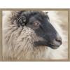 image:imageKate and Laurel Framed Wall Art Print Edward Crop by Emiko and Mark Franzen F2 Images 42 x 32 Woodgrain Stripe Mocha Frame Rustic Farmhouse Animal Art for Wall DecorWoodgrain Stripe Mocha