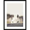 image:imageKate and Laurel Framed Wall Art Print Equine Crop by Robert Cadloff 19 x 25 Svelte Noir Black Frame Rustic Farmhouse Animal Art for Wall Decor25L x 19W