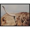 image:imageKate and Laurel Framed Wall Art Print Highland Cow No 4 Close by Laura Evans 41 x 31 Svelte Noir Black Frame Rustic Farmhouse Animal Art for Wall DecorSvelte Noir Black