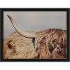 image:imageKate and Laurel Framed Wall Art Print Highland Cow No 4 Close by Laura Evans 41 x 31 Svelte Noir Black Frame Rustic Farmhouse Animal Art for Wall DecorManhattan Black