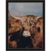 image:imageKate and Laurel Framed Wall Art Print Highland Cow No 5 by Laura Evans 31 x 41 Svelte Noir Black Frame Rustic Farmhouse Animal Art for Wall DecorManhattan Black