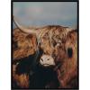 image:imageKate and Laurel Framed Wall Art Print Highland Cow No 5 by Laura Evans 31 x 41 Svelte Noir Black Frame Rustic Farmhouse Animal Art for Wall DecorSvelte Noir Black