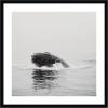 image:imageKate and Laurel Framed Wall Art Print Humpback Whale No 4 by Laura Evans 25 x 25 Svelte Noir Black Frame Coastal Animal Art for Wall DecorSvelte Noir Black