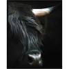 image:imageKate and Laurel Framed Wall Art Print Minimalist Black Highland Cow Close by Michael Schauer 33 x 41 Svelte Noir Black Frame Modern Contemporary Animal Art for Wall DecorSvelte Noir Black