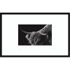 image:imageKate and Laurel Framed Wall Art Print Scottish Highland No 6 by Crystal Lynn Collins 33 x 21 Svelte Noir Black Frame Rustic Farmhouse Animal Art for Wall DecorSvelte Noir Black