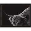 image:imageKate and Laurel Framed Wall Art Print Scottish Highland No 6 by Crystal Lynn Collins 33 x 21 Svelte Noir Black Frame Rustic Farmhouse Animal Art for Wall DecorManhattan Black