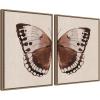 image:imageKate and Laurel Retro Butterfly Watercolor  2 Piece Framed Canvas Wall Art Set by The Creative Bunch Studio Sylvie Beaded Dark Gold Vintage Animal Art for Wall Decor