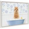 image:imageKate and Laurel Sylvie Baby Alpaca in Hydrangea Bubble Bath Framed Canvas Wall Art by Amy Peterson Art Studio 18x24 White Cute Animal Bathtub Art for Wall