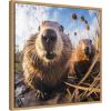image:imageKate and Laurel Sylvie Funny Animal Beaver Selfie Framed Canvas Wall Art by The Creative Bunch Studio 22x22 Natural Funny Cute Animal Art for Wall