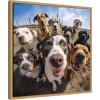 image:imageKate and Laurel Sylvie Funny Animal Dog Selfie Framed Canvas Wall Art by The Creative Bunch Studio 22x22 Black Funny Cute Animal Art for WallNatural