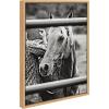 image:imageKate and Laurel Sylvie Photo Saddling Horse Framed Canvas Wall Art by The Whiskey Ginger 18x24 Natural Western Photography Art for Wall