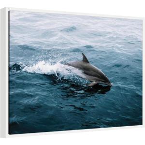 image:imageKate and Laurel Dolphin Skipping along in the Ocean Framed Canvas Wall Art by Michael Schauer 30 x 23 Sylvie White Coastal Animals Beach Landscapes Art for Wall Decor Living Room Bedroom