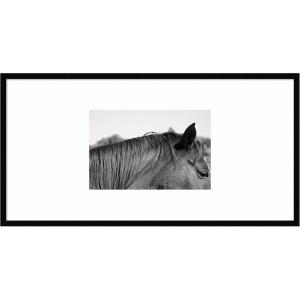 image:imageKate and Laurel Framed Wall Art Print Auburn by Alicia Bock 41 x 21 Svelte Noir Black Frame Modern Contemporary Animal Art for Wall DecorSvelte Noir Black