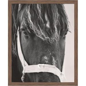 image:imageKate and Laurel Framed Wall Art Print Black Horse by Emiko and Mark Franzen F2 Images 33 x 41 Svelte Noir Black Frame Rustic Farmhouse Animal Art for Wall DecorWoodgrain Stripe Chocolate