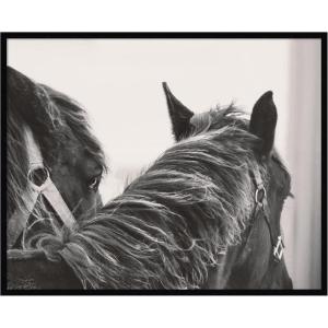 image:imageKate and Laurel Framed Wall Art Print Black Horses by Emiko and Mark Franzen F2 Images 41 x 33 Svelte Noir Black Frame Rustic Farmhouse Animal Art for Wall DecorSvelte Noir Black