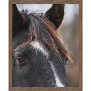 image:imageKate and Laurel Framed Wall Art Print Black and White Horse by Emiko and Mark Franzen F2 Images 33 x 41 Svelte Noir Black Frame Rustic Farmhouse Animal Art for Wall DecorWoodgrain Stripe Chocolate