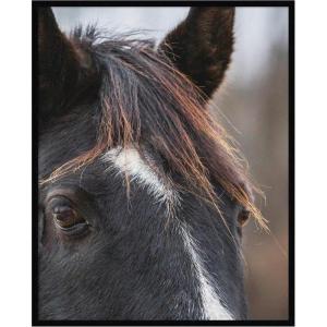 image:imageKate and Laurel Framed Wall Art Print Black and White Horse by Emiko and Mark Franzen F2 Images 33 x 41 Svelte Noir Black Frame Rustic Farmhouse Animal Art for Wall DecorSvelte Noir Black