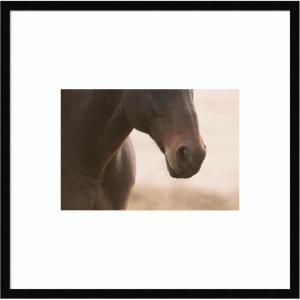 image:imageKate and Laurel Framed Wall Art Print Dusty by Crystal Lynn Collins 25 x 25 Svelte Noir Black Frame Rustic Farmhouse Animal Art for Wall DecorSvelte Noir Black