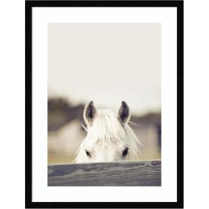 image:imageKate and Laurel Framed Wall Art Print Equine Crop by Robert Cadloff 19 x 25 Svelte Noir Black Frame Rustic Farmhouse Animal Art for Wall Decor25L x 19W