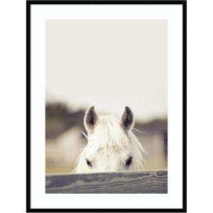 image:imageKate and Laurel Framed Wall Art Print Equine Crop by Robert Cadloff 19 x 25 Svelte Noir Black Frame Rustic Farmhouse Animal Art for Wall Decor41L x 31W